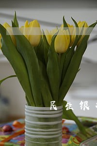 民生银行信用卡逾期设置语音提醒 民生银行信用卡逾期设置语音提醒