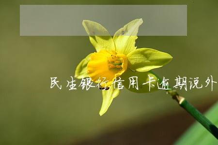 民生银行信用卡逾期说外访排查 民生银行信用卡逾期说外访排查
