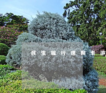 民生银行信用卡逾期说要外访 民生银行信用卡逾期说要外访