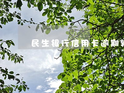 民生银行信用卡逾期转外包