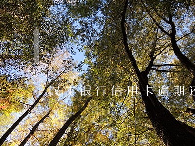 民生银行信用卡逾期还款额度 民生银行信用卡逾期还款额度