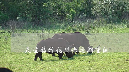 民生银行信用卡逾期重组