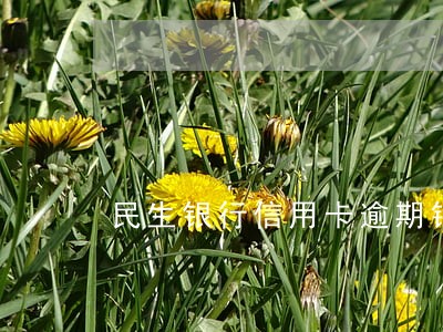民生银行信用卡逾期销卡 民生银行信用卡逾期销卡