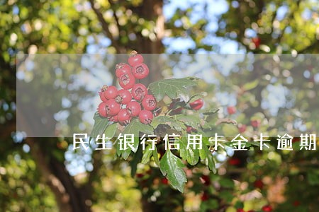 民生银行信用卡金卡逾期 民生银行信用卡金卡逾期