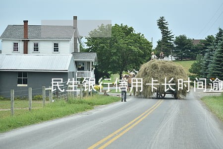 民生银行信用卡长时间逾期 民生银行信用卡长时间逾期