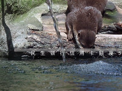 民生银行信用卡额度5万逾期 民生银行信用卡额度5万逾期
