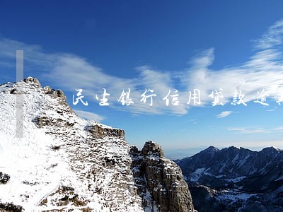 民生银行信用贷款逾期 民生银行信用贷款逾期