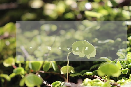 民生银行卡逾期 民生银行卡逾期