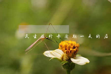 民生银行卡逾期一天的后果上海 民生银行卡逾期一天的后果上海