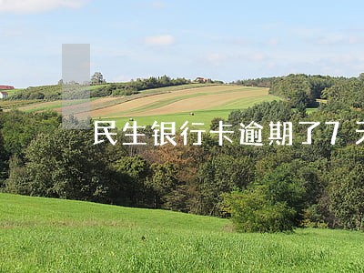 民生银行卡逾期了7天