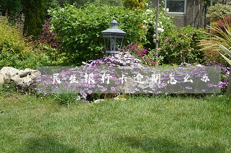 民生银行卡逾期怎么办