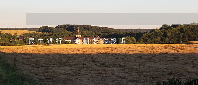 民生银行卡逾期怎么投诉