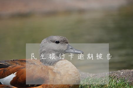 民生银行卡逾期被告 民生银行卡逾期被告