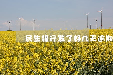 民生银行发了好几天逾期 民生银行发了好几天逾期