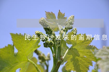 民生银行发来的逾期信息 民生银行发来的逾期信息