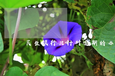 民生银行只针对逾期的办理分期
