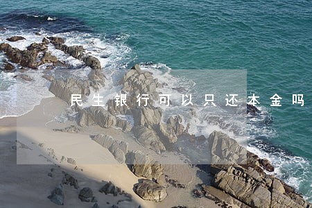 民生银行可以只还本金吗