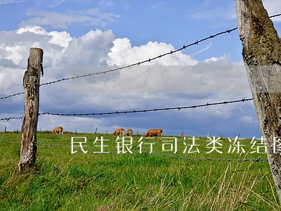 民生银行司法类冻结图片 民生银行司法类冻结图片