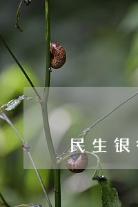 民生银行因逾期卡片停用 民生银行因逾期卡片停用