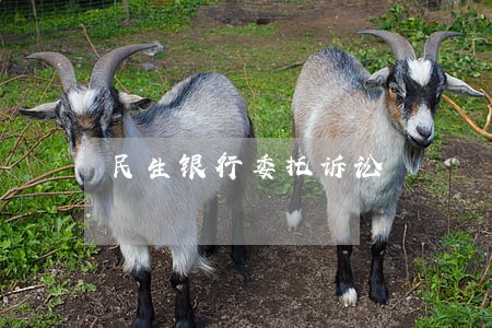 民生银行委托诉讼 民生银行委托诉讼