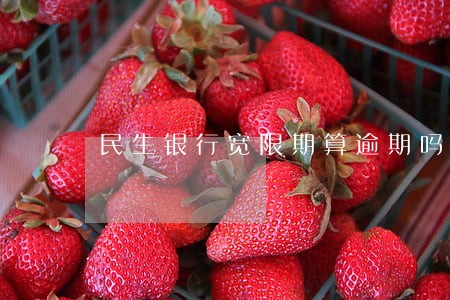 民生银行宽限期算逾期吗 民生银行宽限期算逾期吗