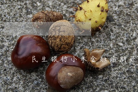 民生银行小米金融逾期还款 民生银行小米金融逾期还款