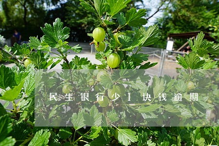 民生银行少1块钱逾期 民生银行少1块钱逾期