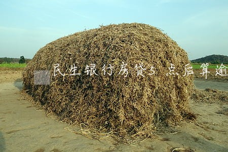 民生银行房贷5点后算逾期 民生银行房贷5点后算逾期
