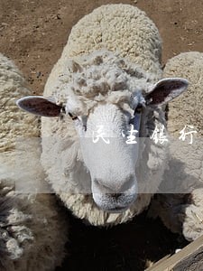 民生银行房贷可以逾期多久 民生银行房贷可以逾期多久