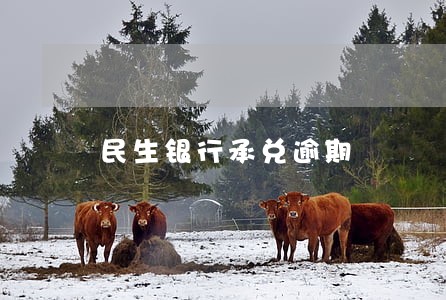 民生银行承兑逾期