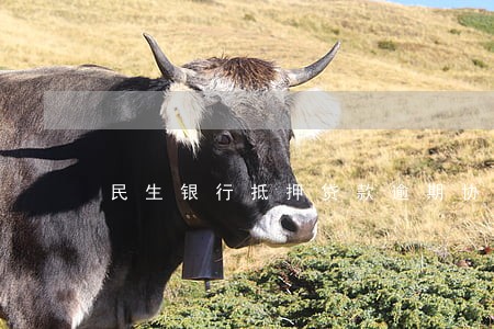 民生银行抵押贷款逾期协商 民生银行抵押贷款逾期协商