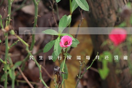 民生银行按揭每月还贷逾期一天 民生银行按揭每月还贷逾期一天