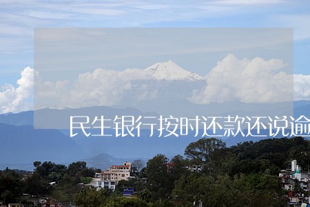 民生银行按时还款还说逾期 民生银行按时还款还说逾期