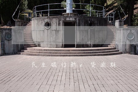 民生银行新e贷逾期 民生银行新e贷逾期