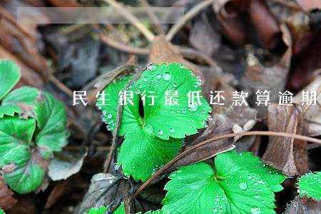 民生银行最低还款算逾期吗 民生银行最低还款算逾期吗