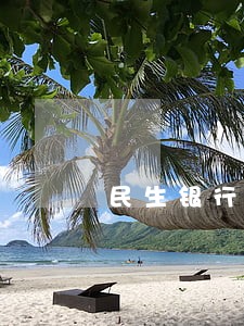 民生银行有个逾期20天 民生银行有个逾期20天