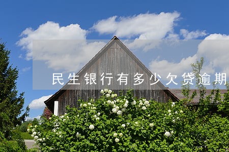 民生银行有多少欠贷逾期 民生银行有多少欠贷逾期