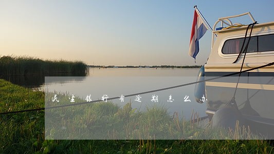 民生银行有逾期怎么办 民生银行有逾期怎么办