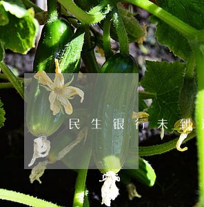 民生银行未到还款日提醒逾期 民生银行未到还款日提醒逾期