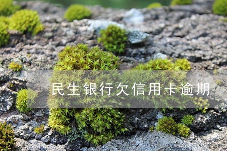 民生银行欠信用卡逾期