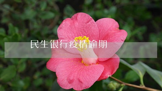 民生银行疫情逾期