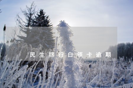 民生银行白领卡逾期 民生银行白领卡逾期