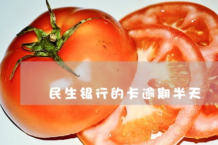 民生银行的卡逾期半天 民生银行的卡逾期半天