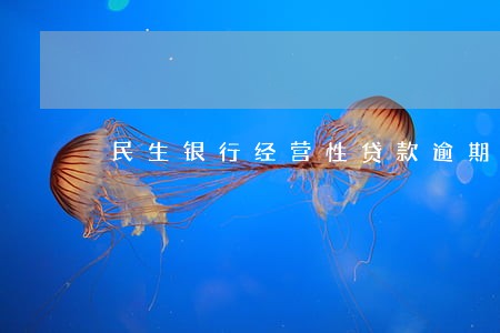民生银行经营性贷款逾期政策 民生银行经营性贷款逾期政策