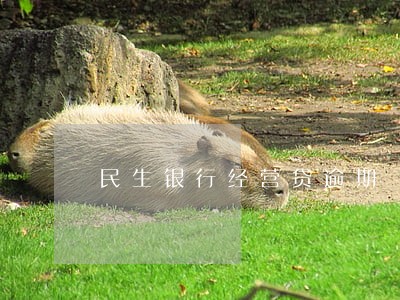 民生银行经营贷逾期 民生银行经营贷逾期