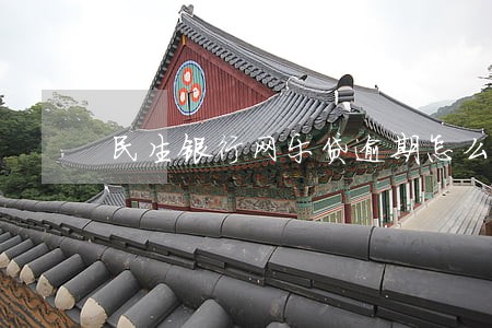 民生银行网乐贷逾期怎么办