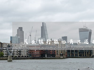 民生银行能协商只还本金吗 民生银行能协商只还本金吗
