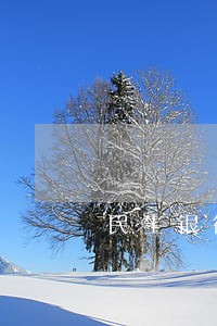 民生银行西宁分行违法遭罚45万