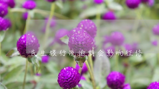 民生银行说逾期会影响征信 民生银行说逾期会影响征信