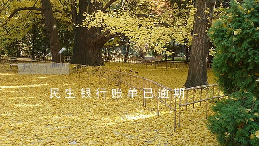 民生银行账单已逾期 民生银行账单已逾期